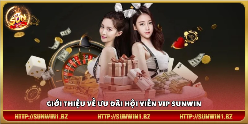 Ưu đãi hội viên VIP Sunwin – Đặc quyền vượt trội dành cho hội viên Tổng quan chương trình dành cho hội viên VIP Sunwin