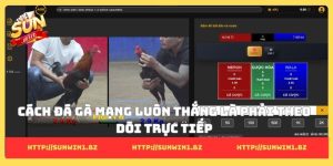 8 cách đá gà mạng luôn thắng - Cơ hội để đổi đời thành công Cách đá gà mạng luôn thắng là phải theo dõi trực tiếp