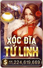 Banner Xóc Đĩa