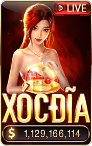 Banner Xóc Đĩa