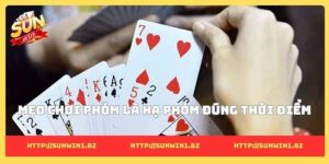 Mẹo chơi phỏm để thắng dễ dàng và nâng tầm bản lĩnh Mẹo chơi phỏm là hạ phỏm đúng thời điểm