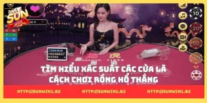 Cách chơi Rồng Hổ thắng khiến ai cũng muốn thử ngay Tìm hiểu xác suất các cửa là cách chơi Rồng Hổ thắng